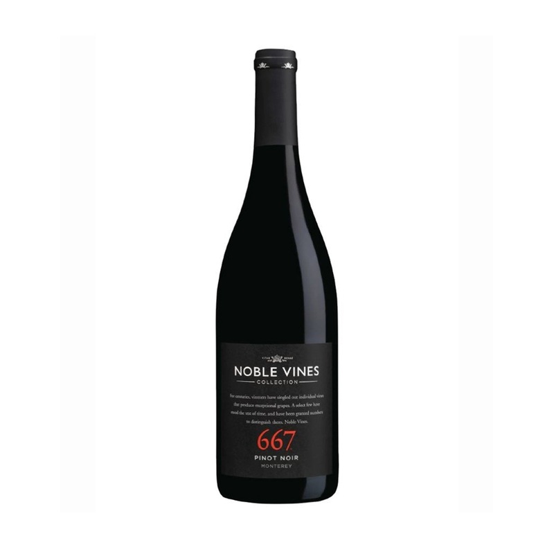 667 Pinot Noir -12 Bottles