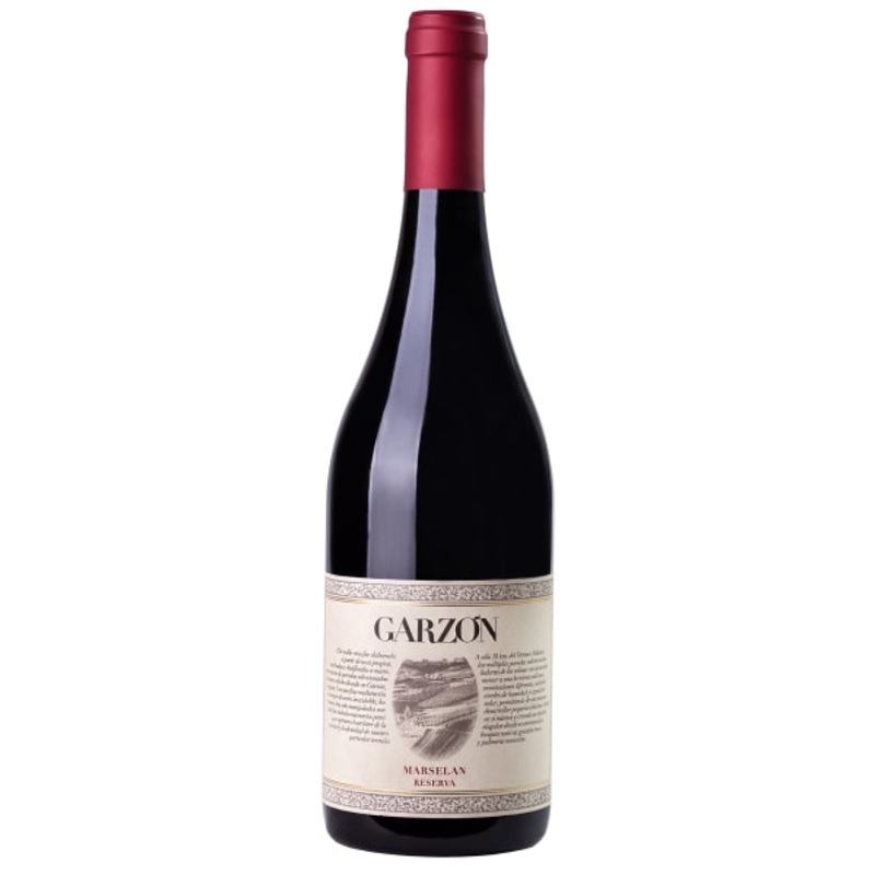 Bodega Garzon Marselan Reserva 2022 750 ML