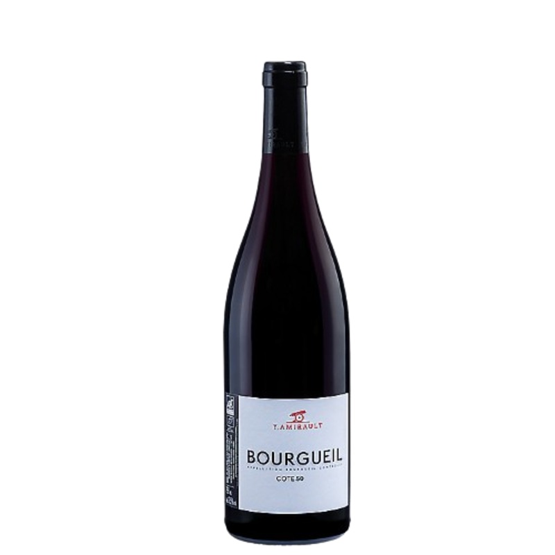 Y. Amirault Cabernet Franc Cote 50 Val De Loire 2021 750 ML