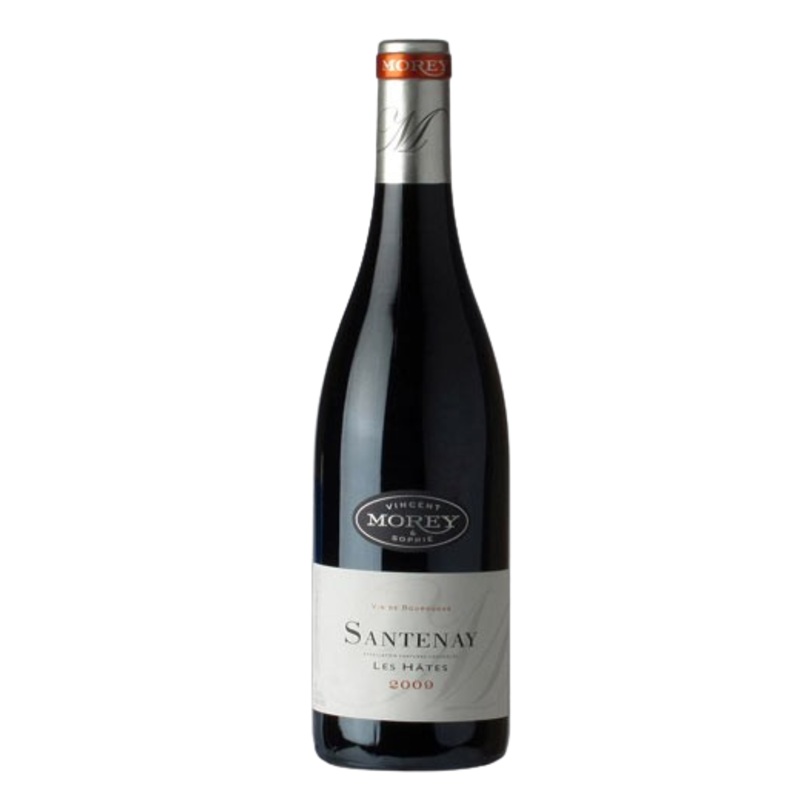 Vincent et Sophie Morey Santenay Les Hates 2017 750 ML