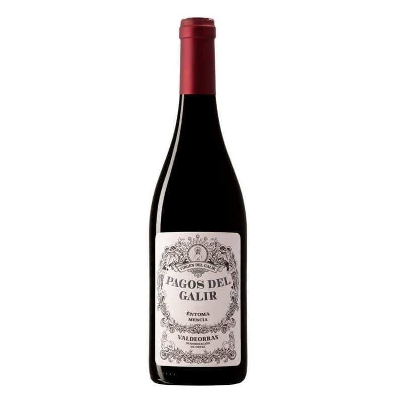 Virgen Del Galir Valdeorras Mencia Pagos Del Galir 2018 750 ML