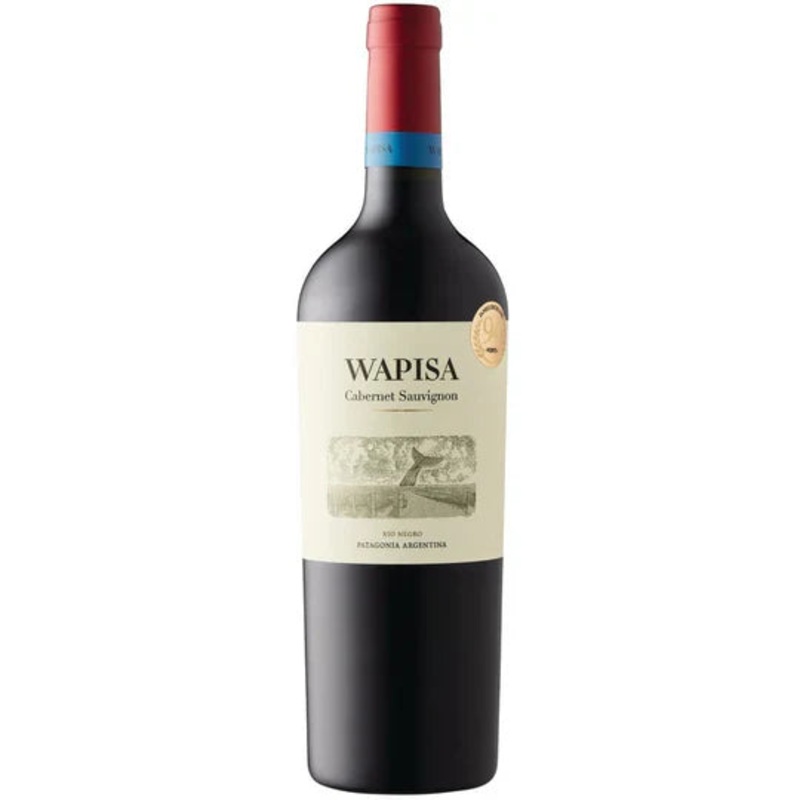 Wapisa Cabernet Sauvignon Alto Valle Del Rio Negro 2019 750 ML