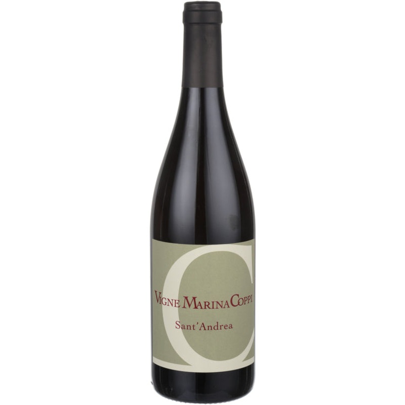 Vigne Marina Coppi Barbera Sant'Andrea Colli Tortonesi 2019 750 ML